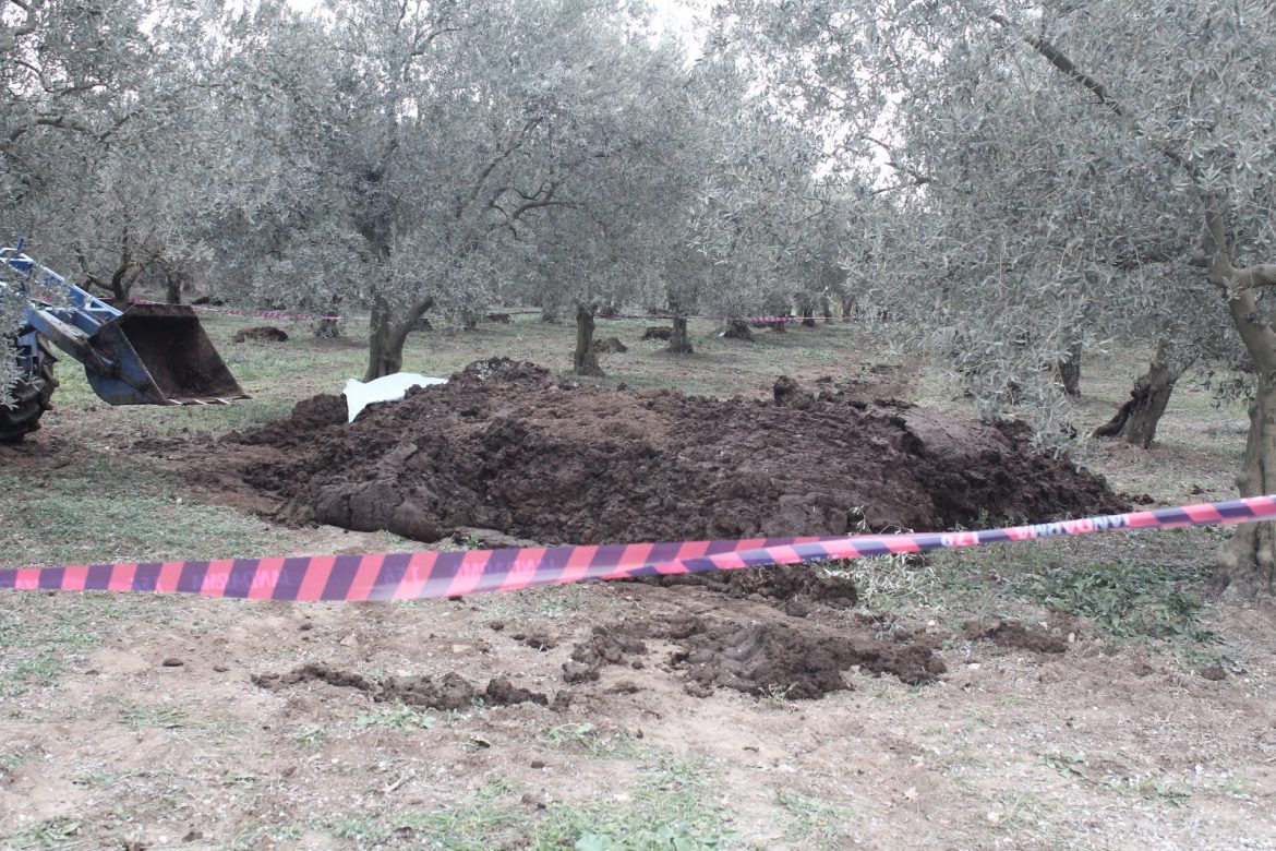 Bursa’da zeytin bahçesine getirilen gübrenin içinde ceset bulundu
